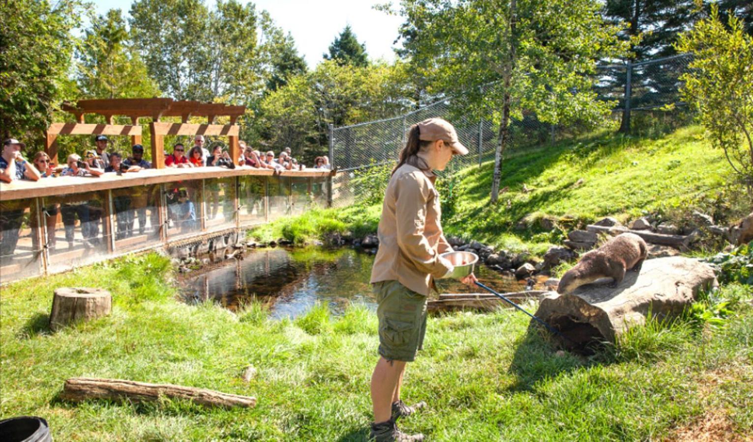 Auberge Soleil De Mer Bonaventure Zewnętrze zdjęcie